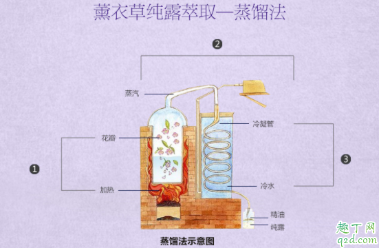 德国o家薰衣草纯露里面有絮是什么 薰衣草纯露可以和其他化妆品同时使用吗 1