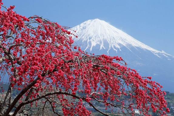 日本东京旅游攻略