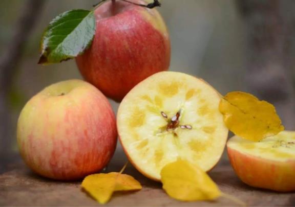冰糖心苹果的糖心是怎么形成的？是苹果得了糖心病 与普通苹果区别